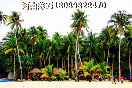 海口美兰区房价为什么涨那么快？