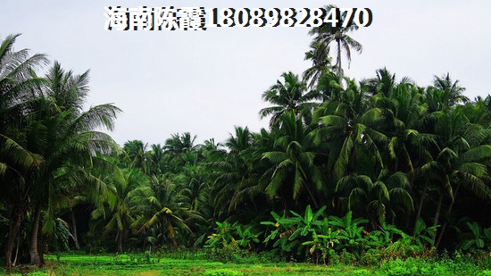 海南文昌市买房那里好？椰林山庄PK荣德庄园哪个便宜能升值？