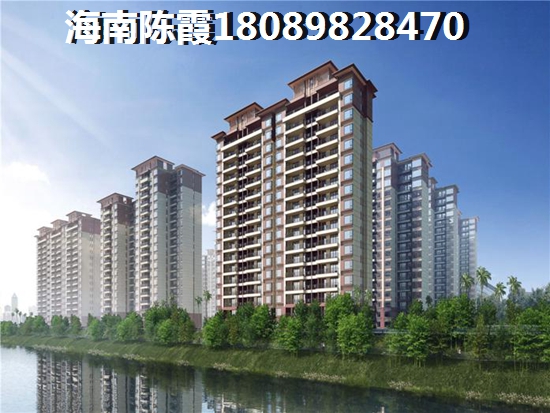 外地人购买碧桂园兴隆湖畔二手房详情攻略2024，碧桂园兴隆湖畔适合居住吗