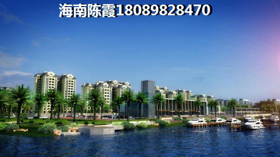 2025年碧桂园澜江华府二手房购买指南候鸟家庭购房全攻略