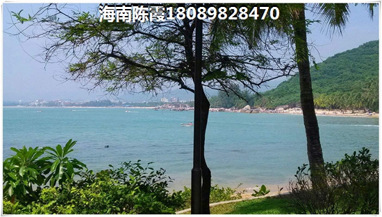 武夷山2025年醉新房价多少？