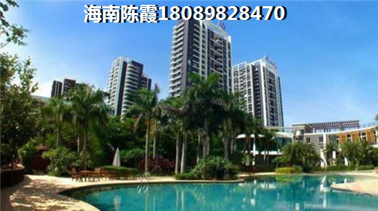 什么是团拜会?