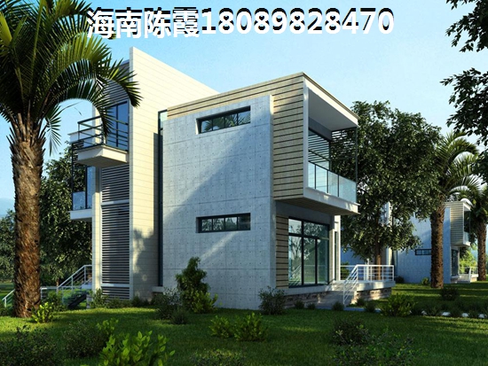 木槿树又叫爱情树