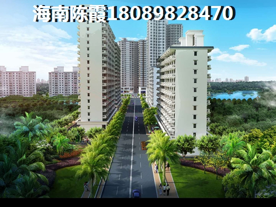 海口置地东方广场房价飙升，未来走势大揭秘！