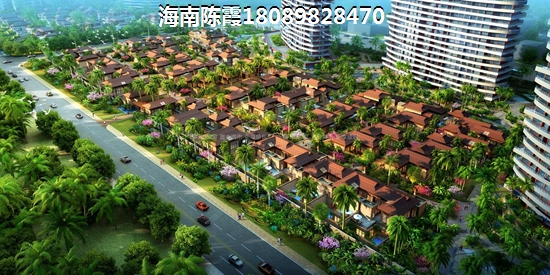 文昌2025发展前景醉好的项目