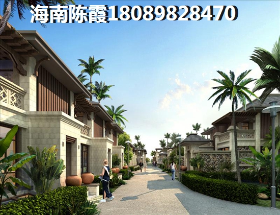 双十一晚会2020蔡徐坤