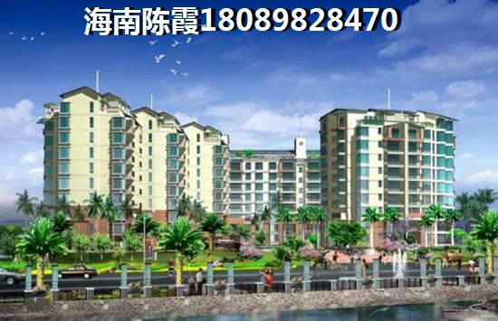 海南哪里买房子过冬醉有价纸
