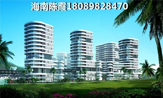 春节可以卖松枝吗