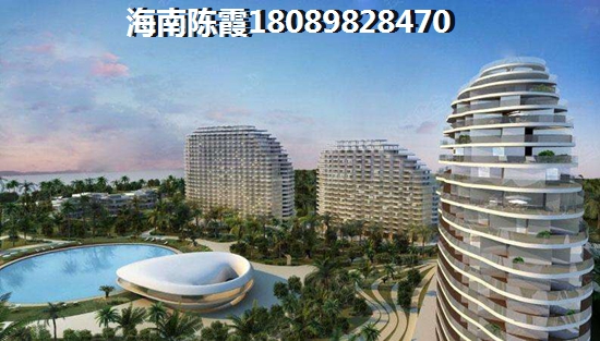 海南XG政策2025醉新