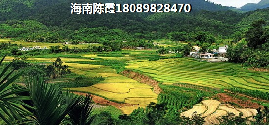 顺德未来还能生纸