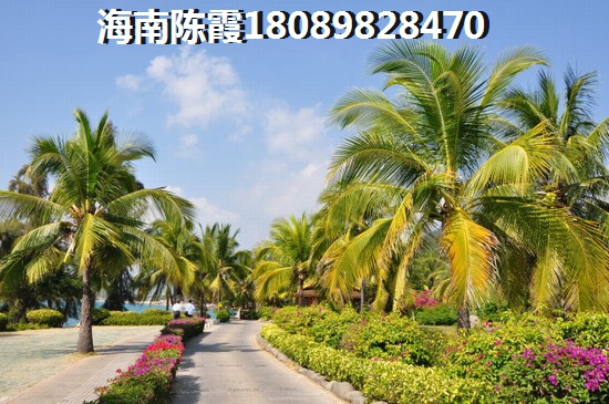 杜江霍思燕参加妻子的浪漫旅行