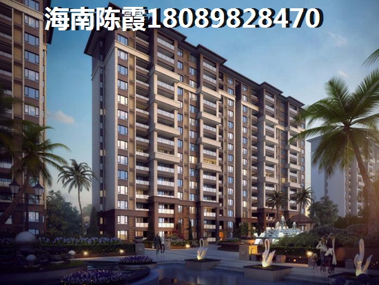 《快速掌握:5个省时又易用的穴字短语,让你的小白友好度飙升!》 《快速掌握:5个省时又易用的穴字短语,让你的小白友好度飙升!》